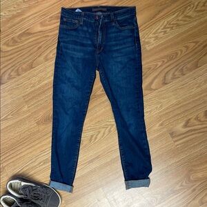 Joe's Jeans Blue Skinny Jeans